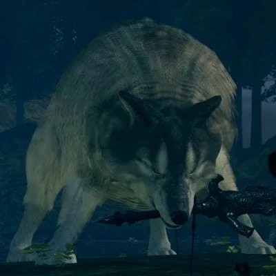 Сиф Великий Волк