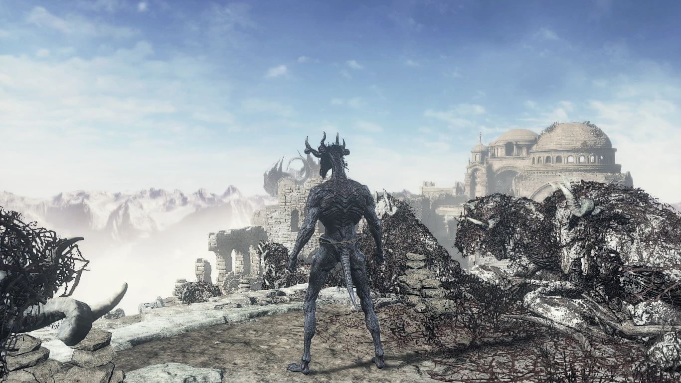 Форма дракона — сзади.