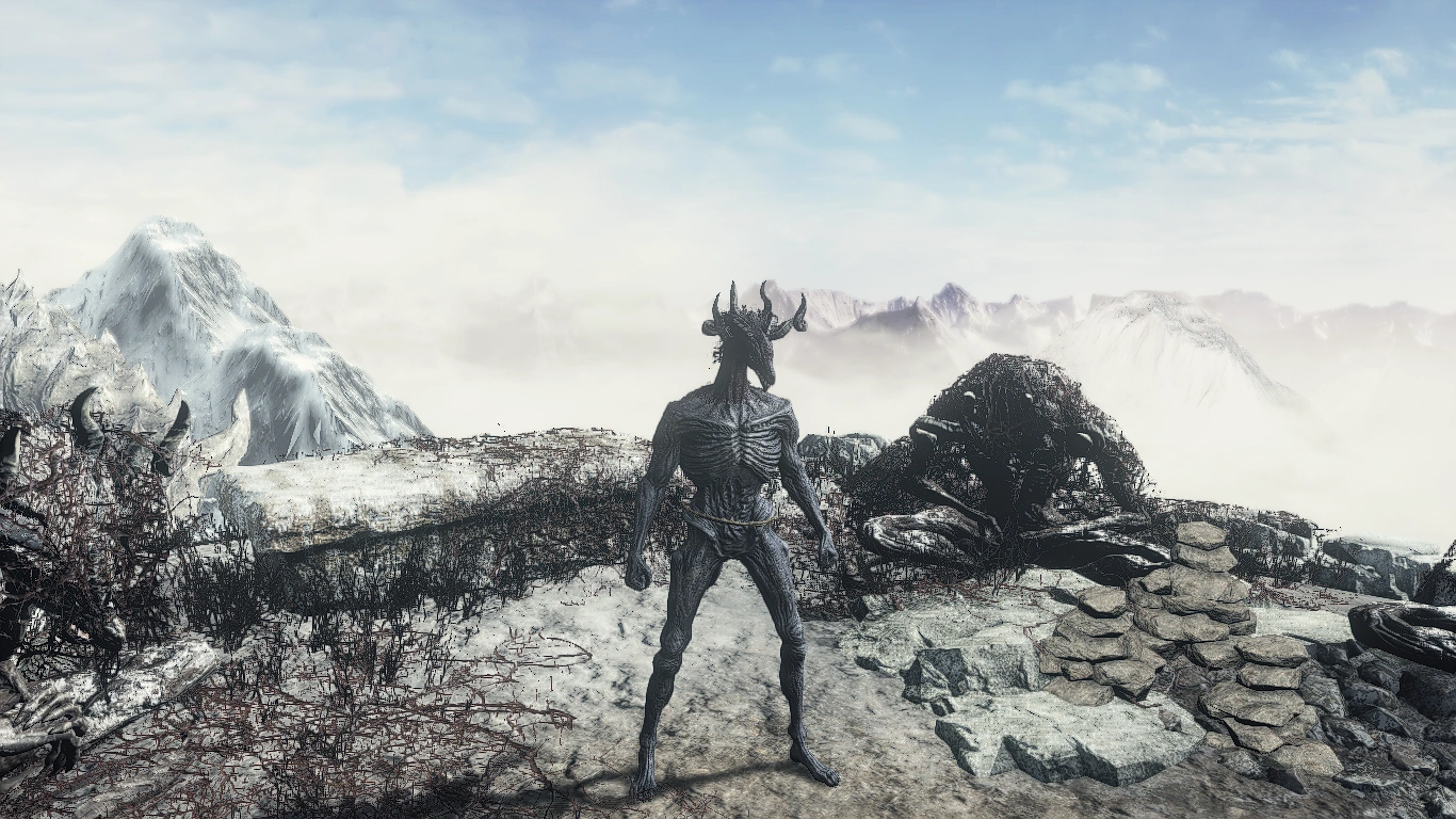 Форма дракона — спереди.