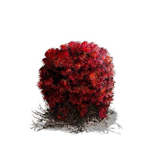 Комок красного мха (Dark Souls III)