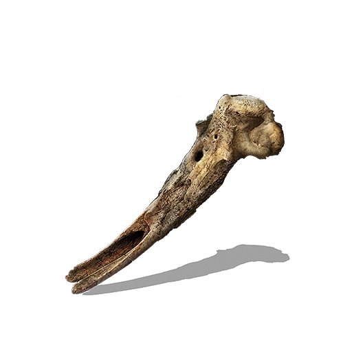 Кость Лоретты