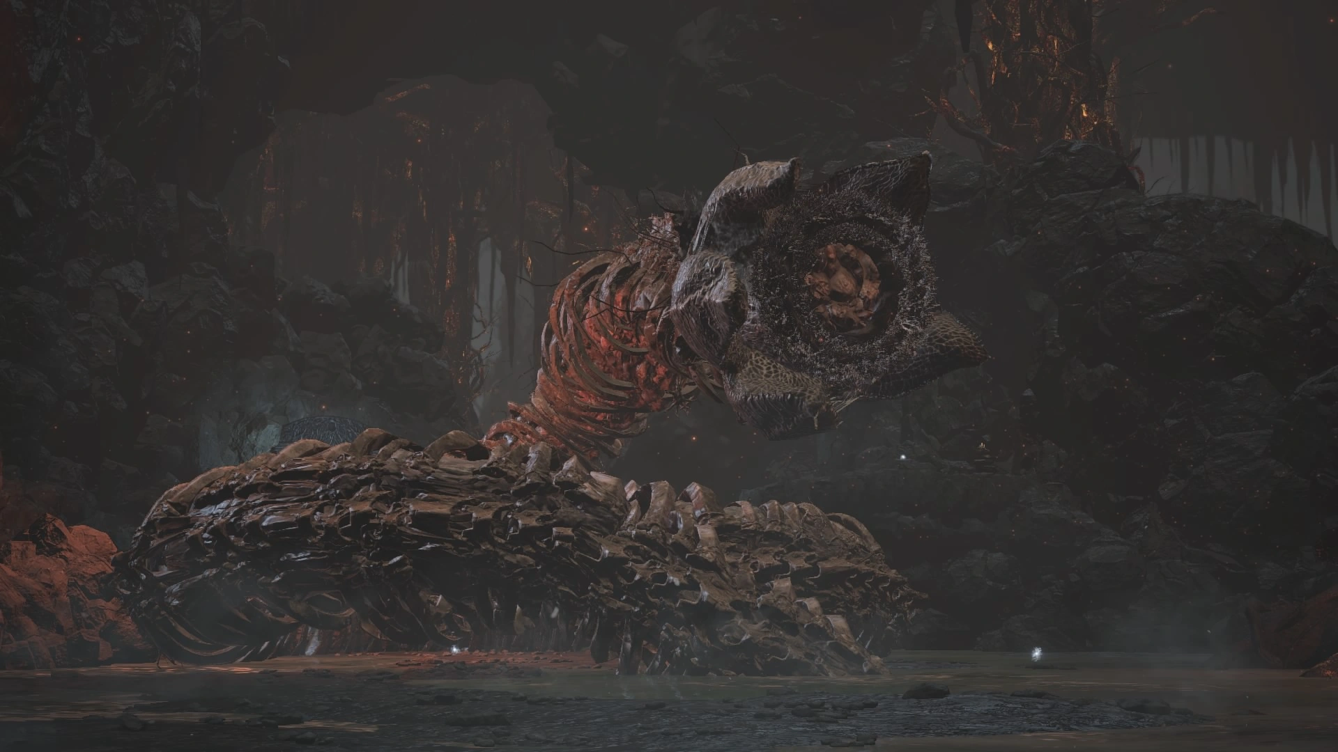 Червь картуса.png