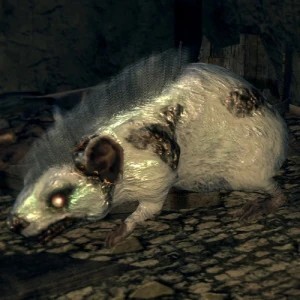 Снежная крыса