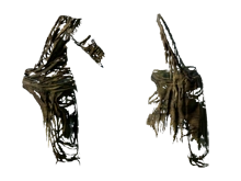 Лохмотья заключенного