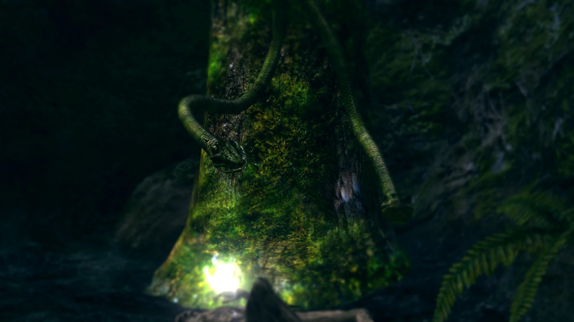 Головы ящерицы.