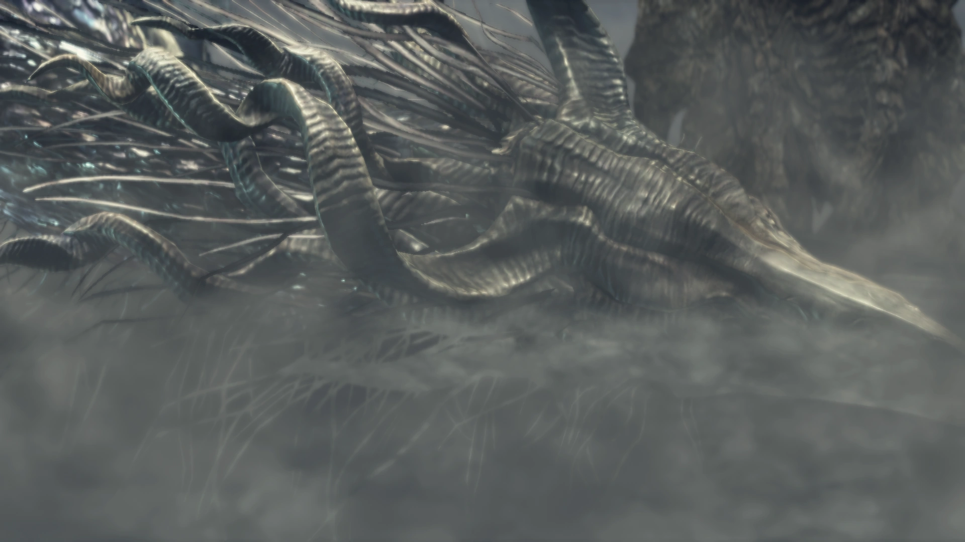 Безымянный король 3.png