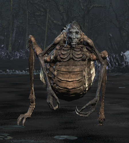 Белоликая саранча