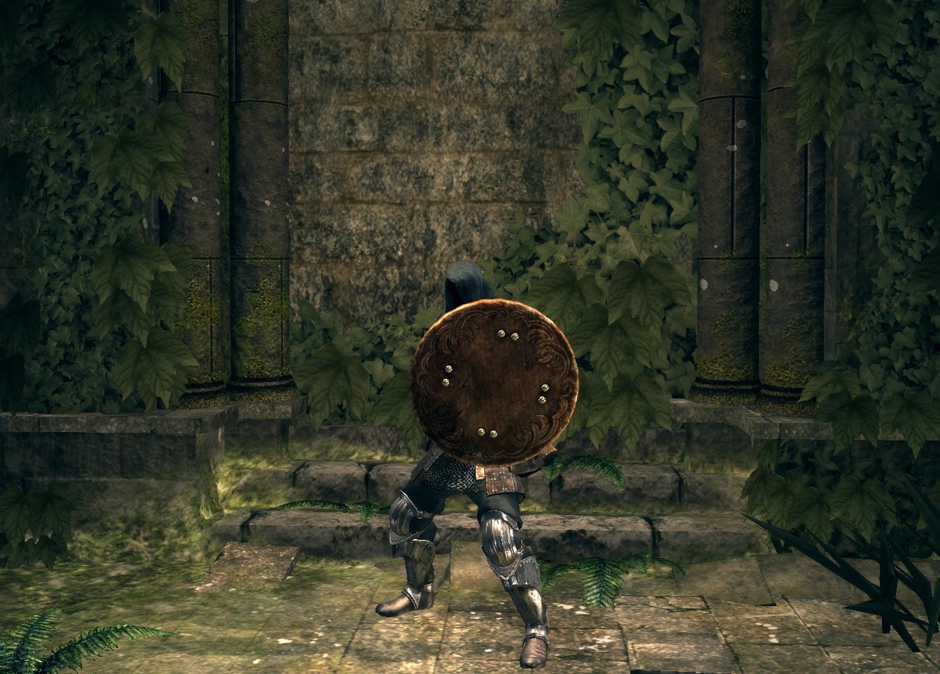 Большой кожаный щит(Dark souls).jpg