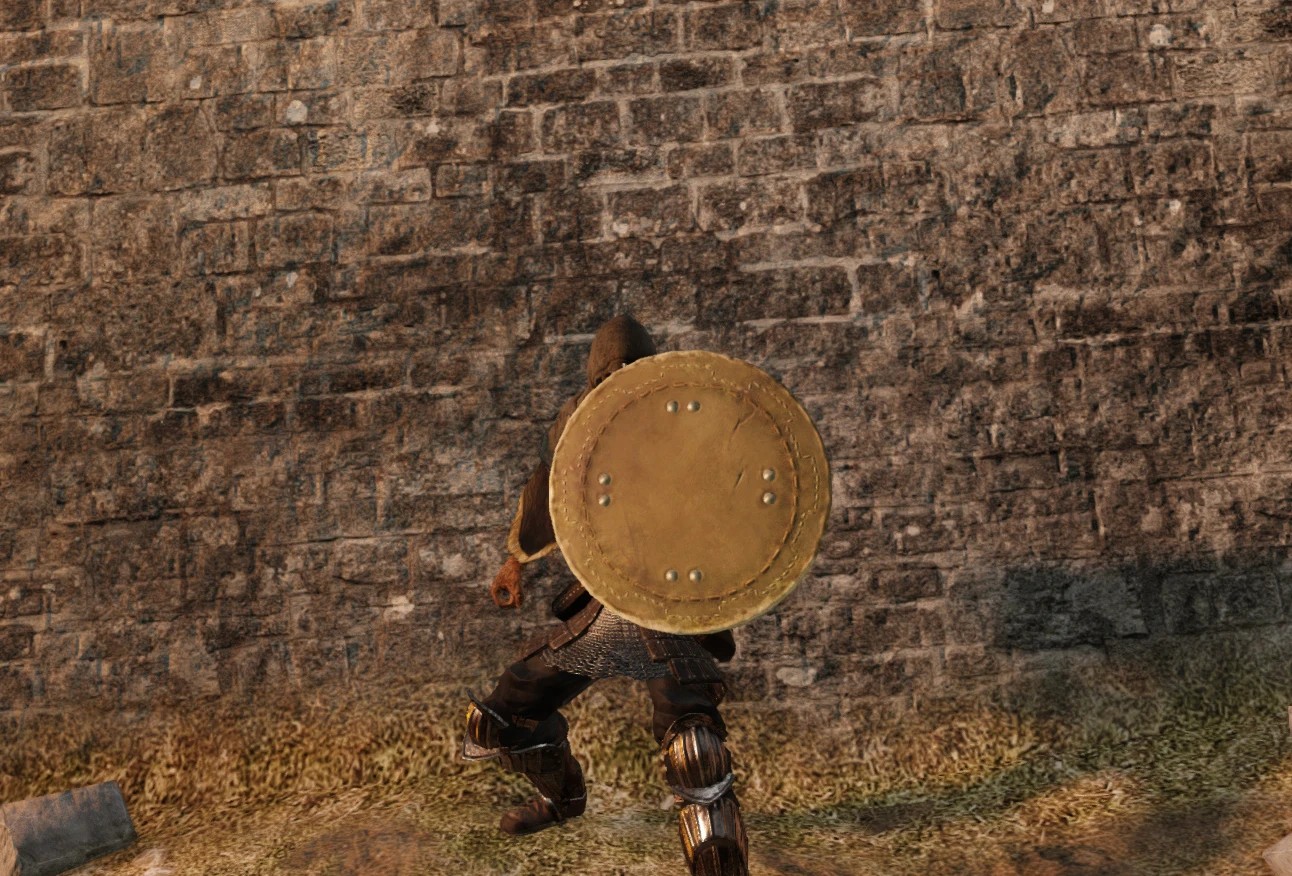 Большой кожаный щит.jpg