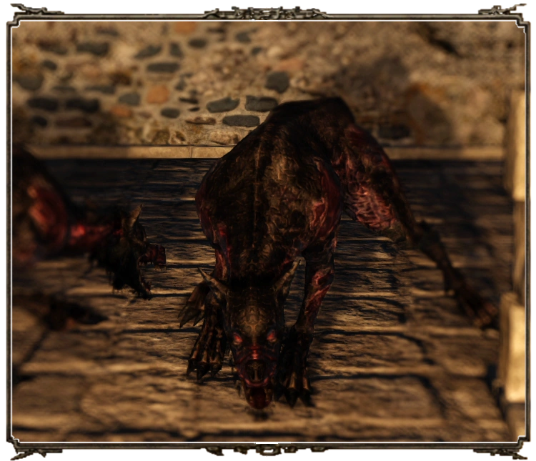 Бродячая гончая (Dark Souls II)