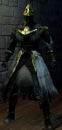 Сет Паладина