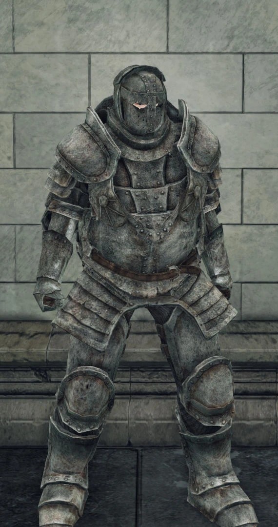 Панцирный сет