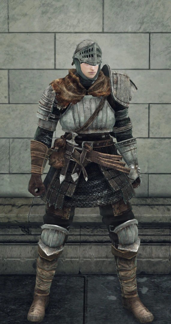 Сет рыцаря (Dark Souls II)