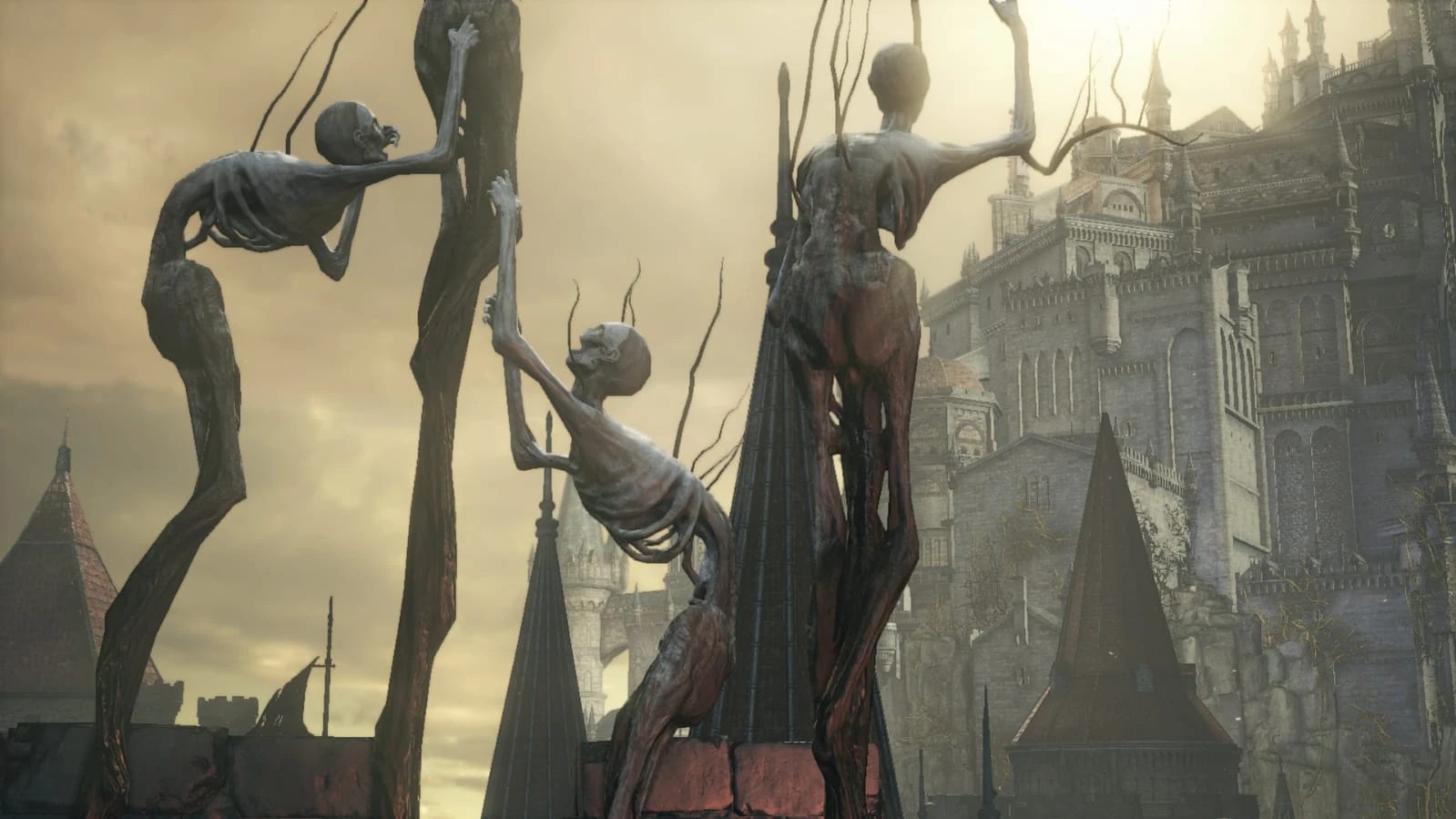 Тела полых, обратившихся в деревья