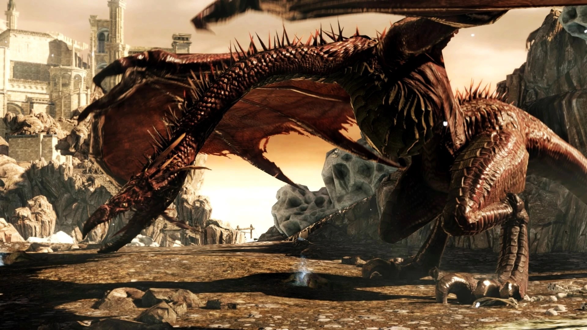 Гнездо №13.jpg