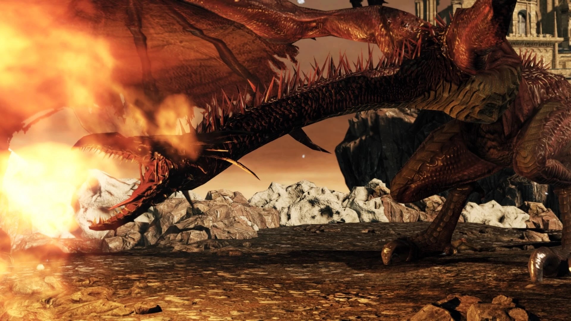 Гнездо №16.jpg