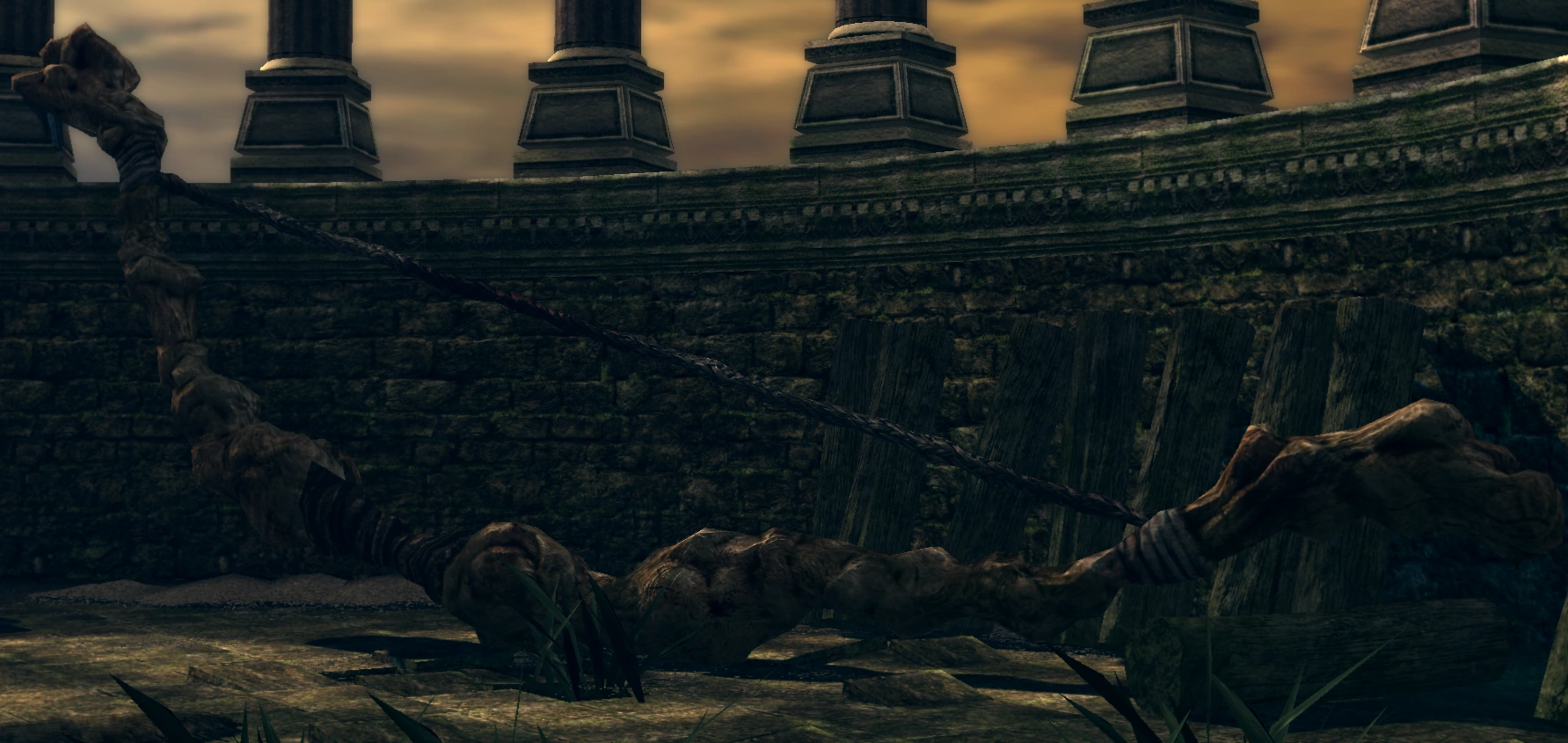 Большой лук Гоха