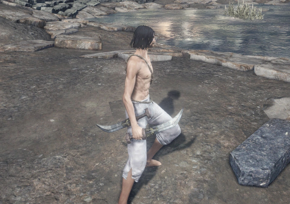 Кинжалы разбойника (одноручный хват).png