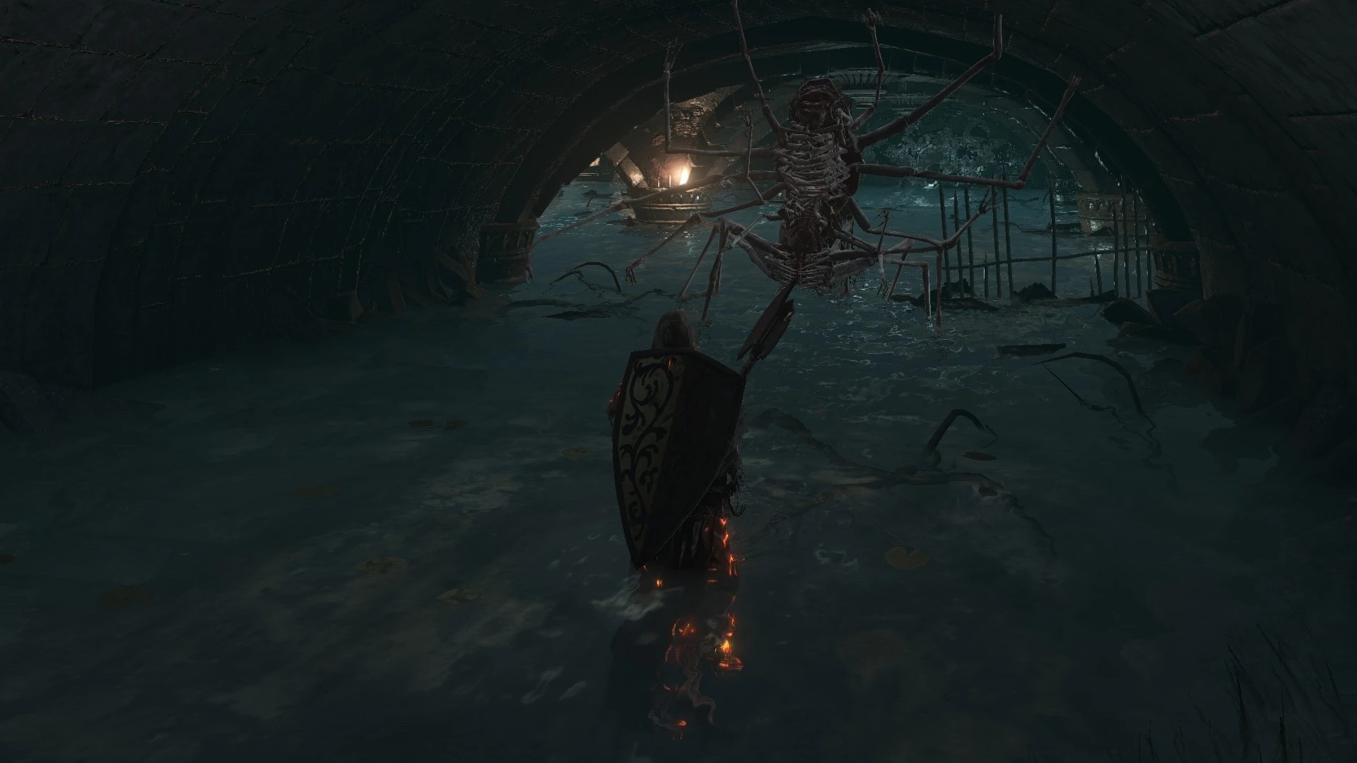 Канализационная многоножка 1.jpg