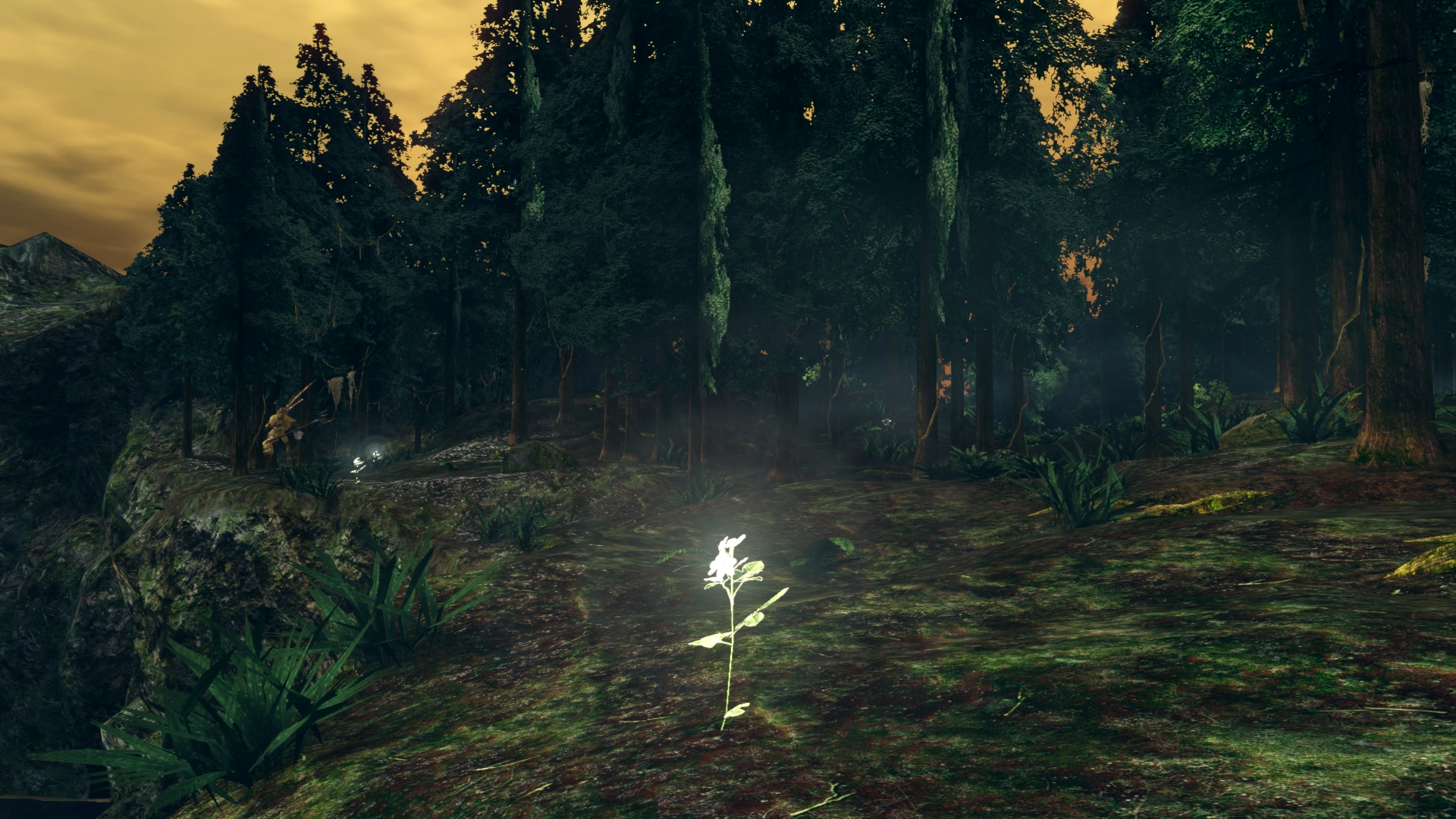 570940 20240129172156 1.png