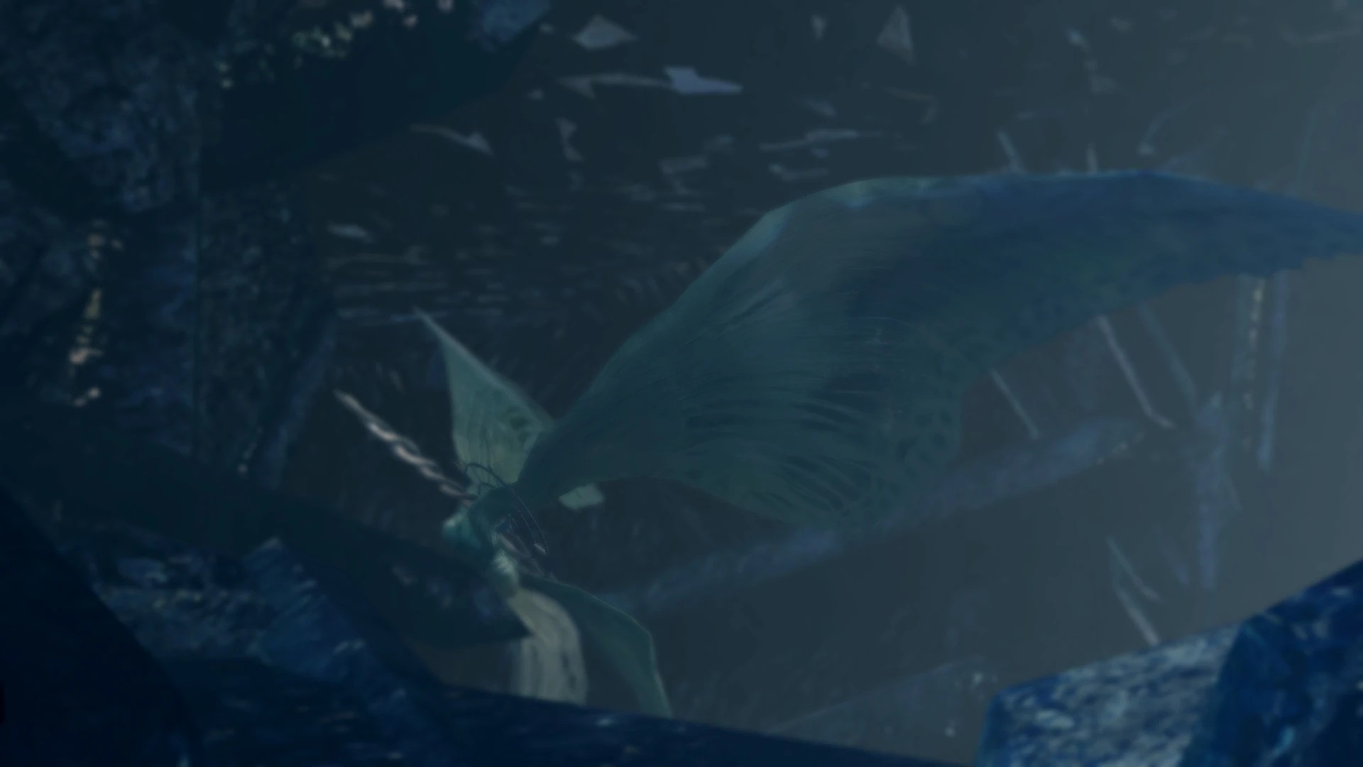 DARKSOULS 2017-07-21 18-06-58-643.jpg