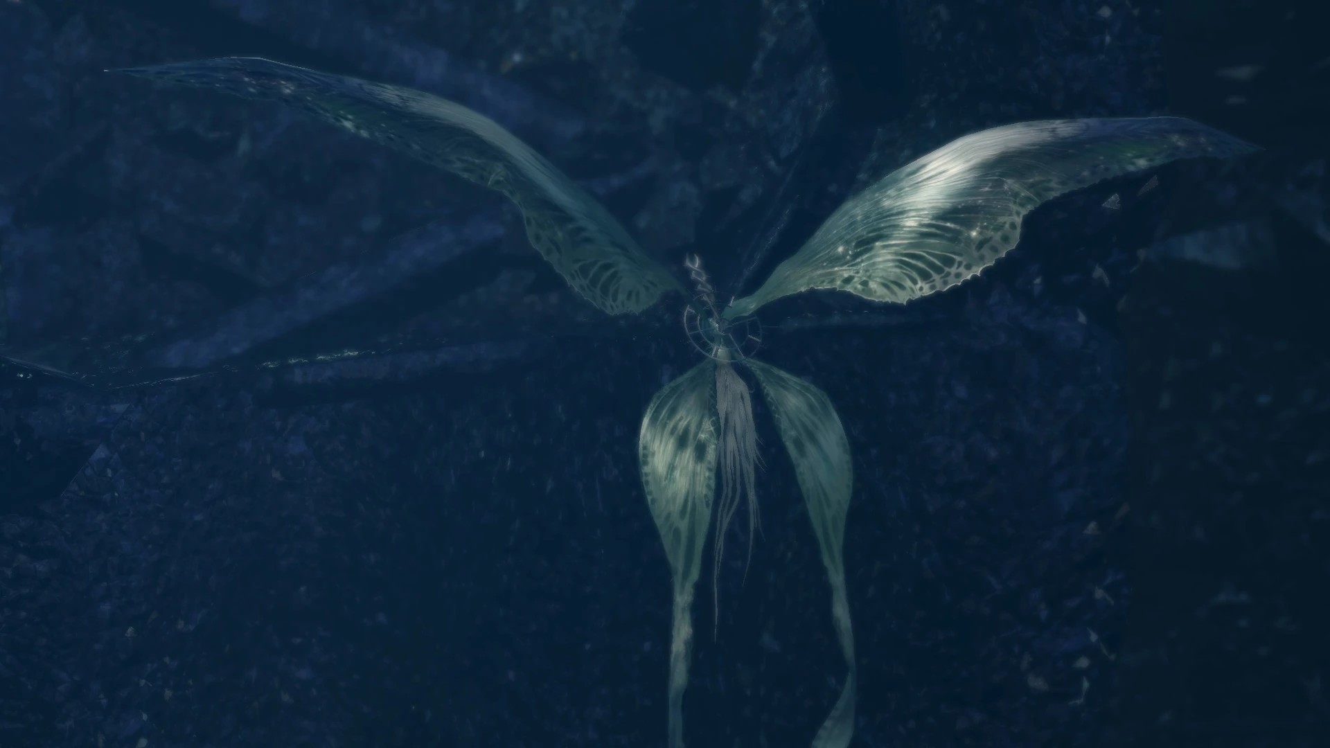 DARKSOULS 2017-07-21 18-11-10-321.jpg