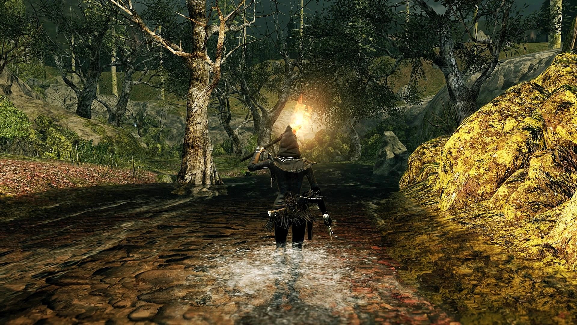 Лес гигантов №5.jpg