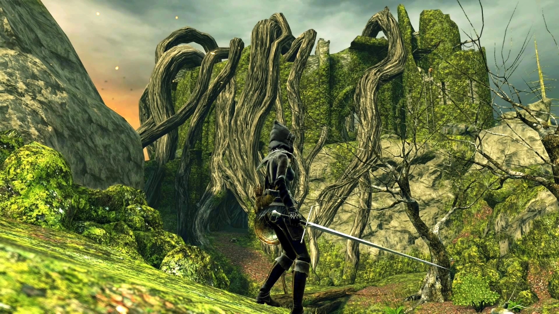 Лес гигантов №6.jpg