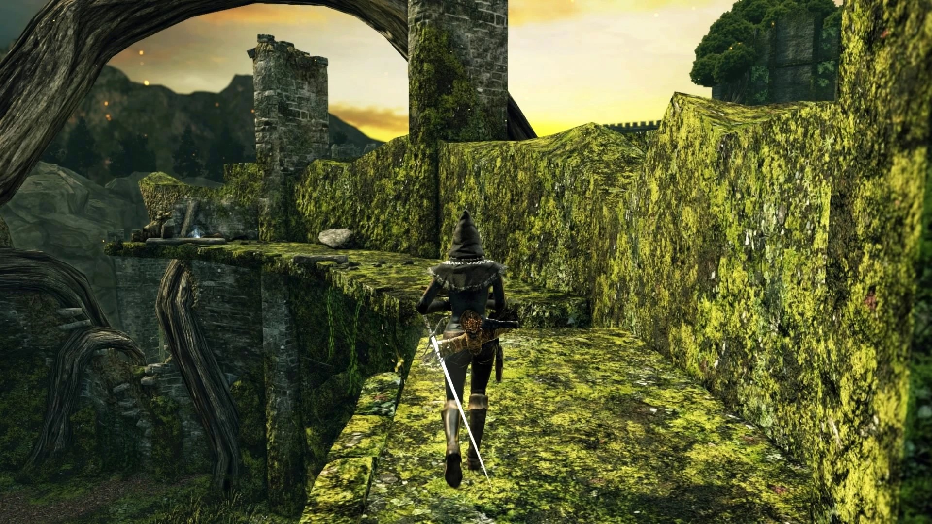 Лес гигантов №7.jpg