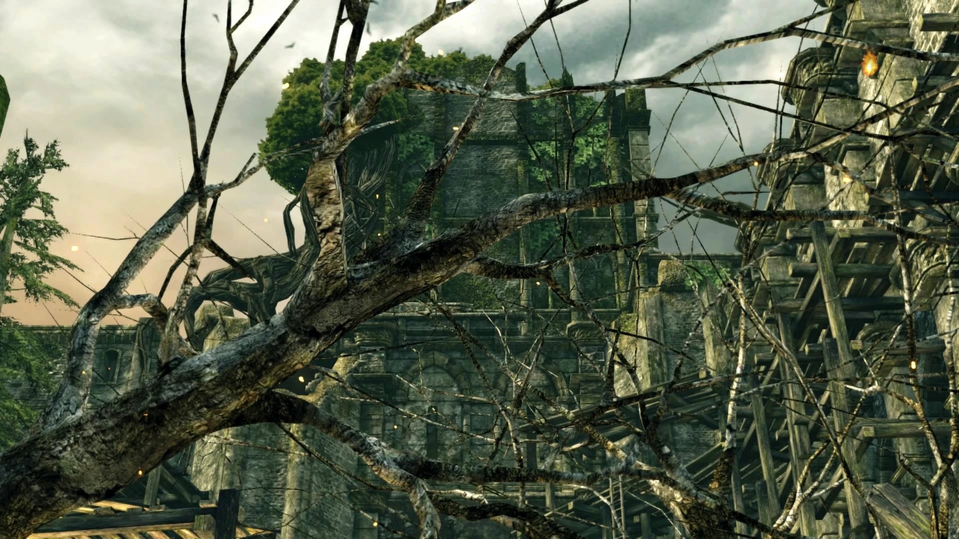 Лес гигантов №12.jpg