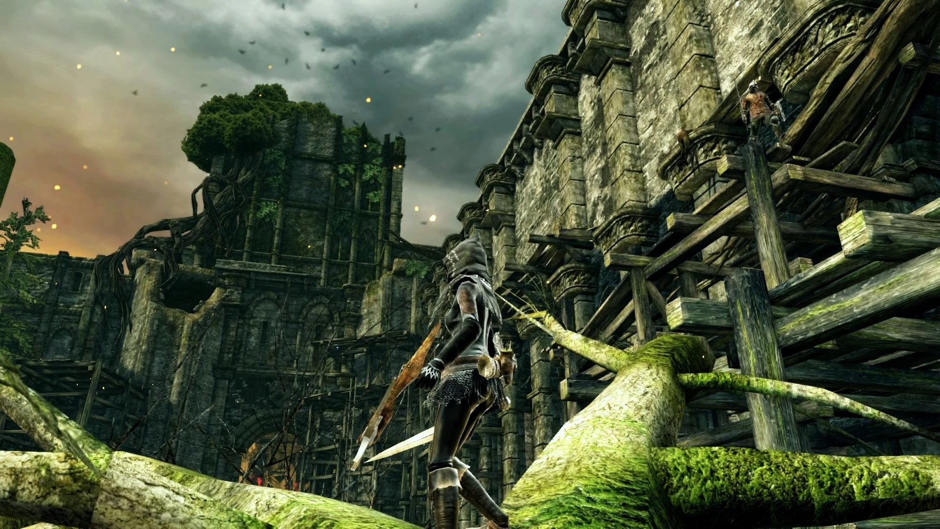 Лес гигантов №33.jpg