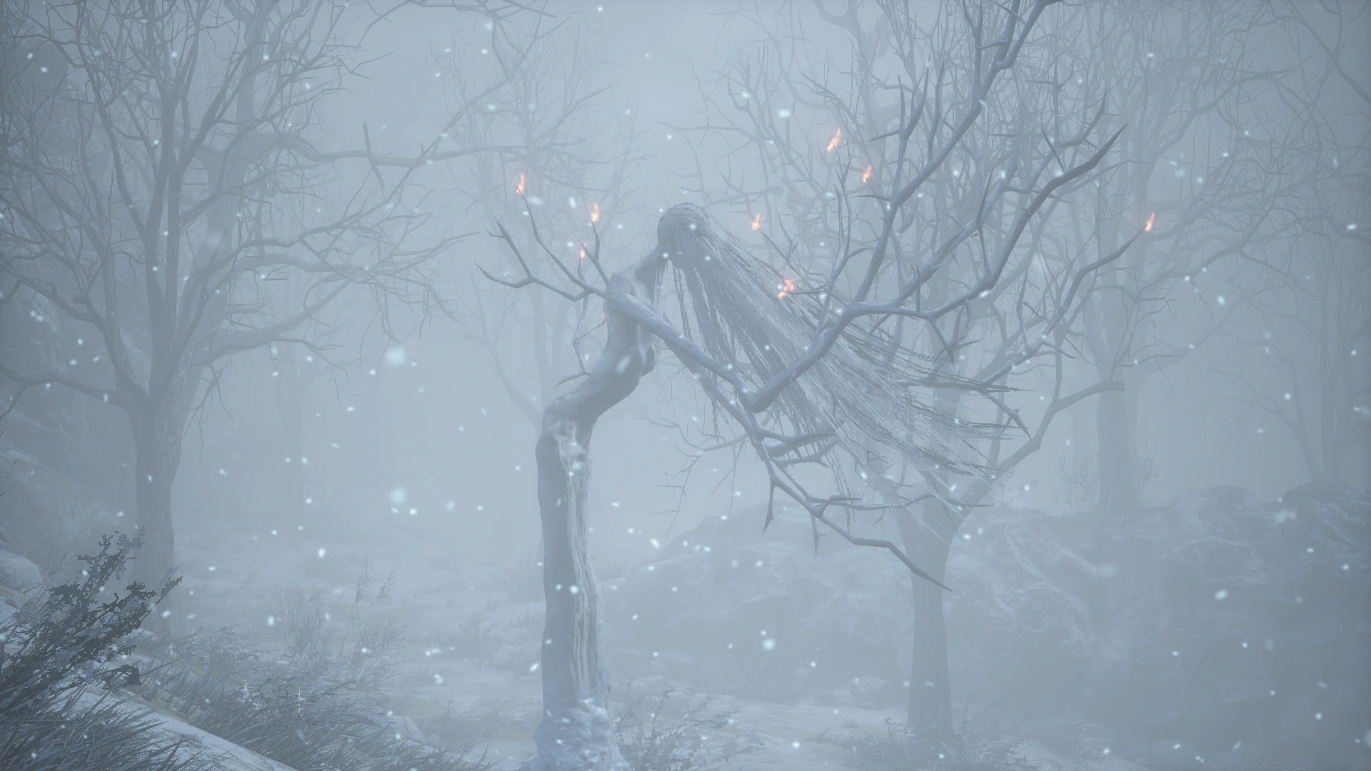 374320 20240709123810 1.png