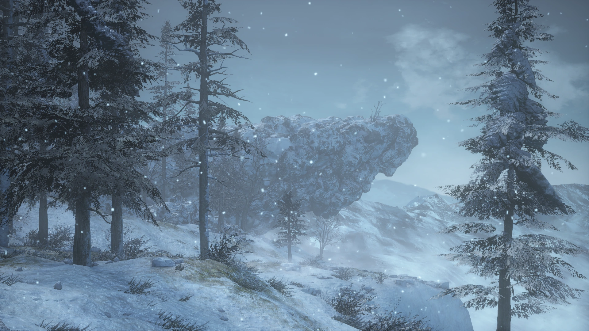 374320 20240709123919 1.png