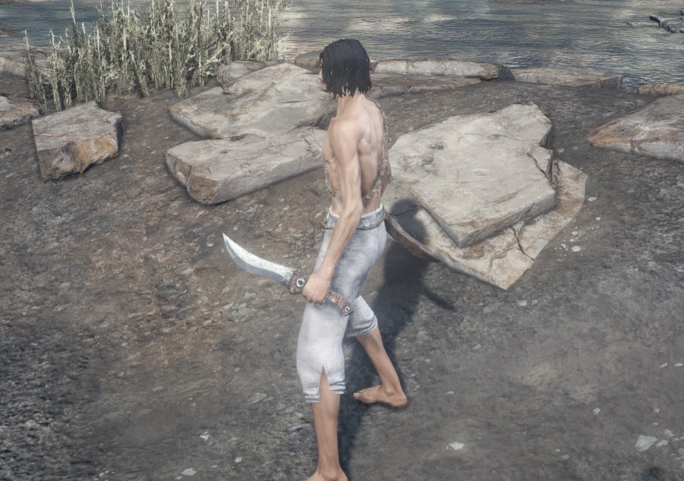 Нож бандита (Dark Souls III) (одноручный хват).png