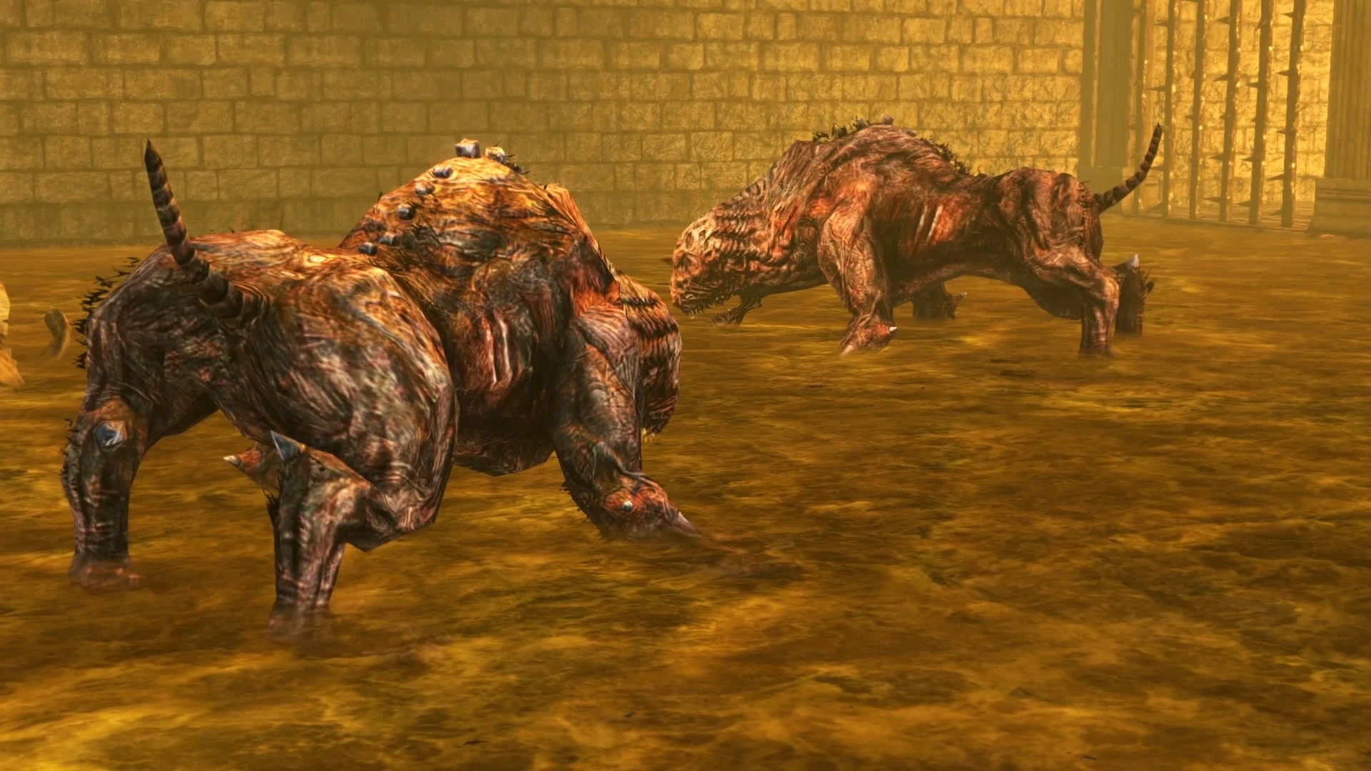 DARK SOULS™ II Scholar of the First Sin 20151030135247.jpg