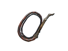 Пятнистый кнут