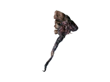 Уродливый панцирь