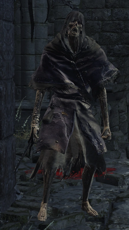 Подмастерье знатока