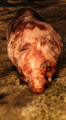 Полая Свинья