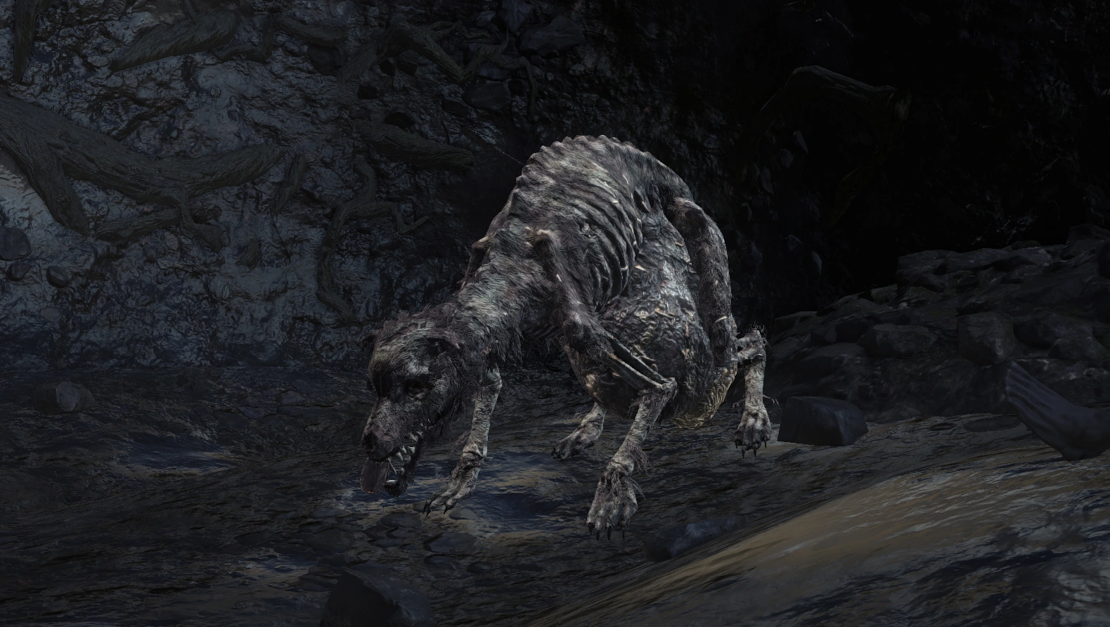 Гниющая гончая.