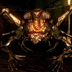 Скальный паук