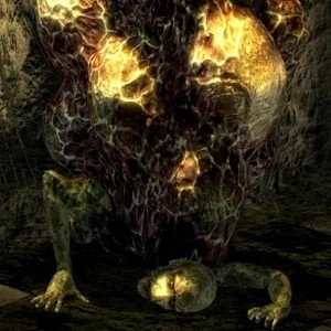 Вынашивающий яйца