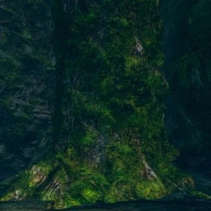 Одержимое дерево*