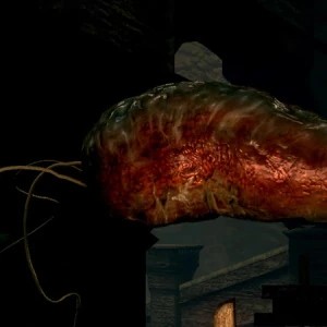 Настенный Паразит*