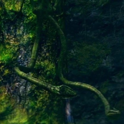 Древесная ящерица