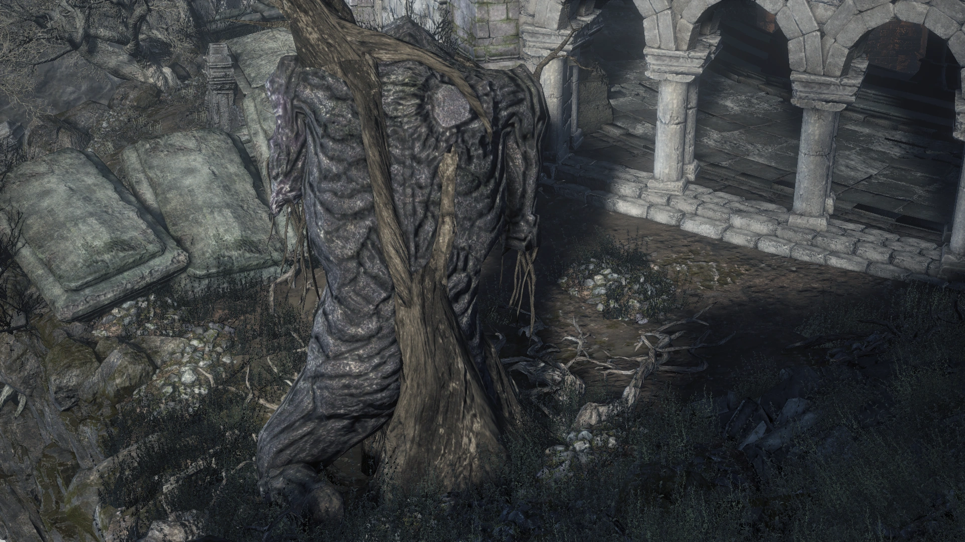 Храм огня (Dark Souls III) 45.png