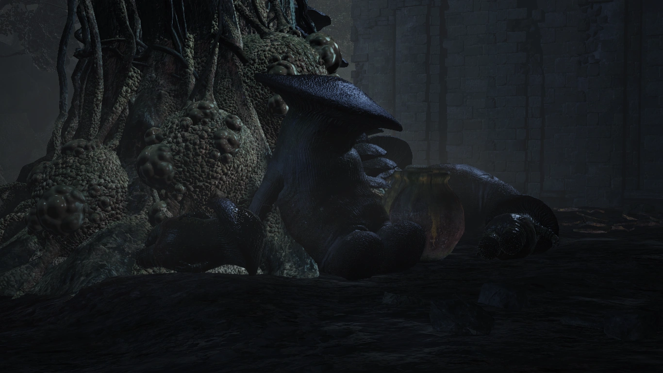 Грибы DSIII.png