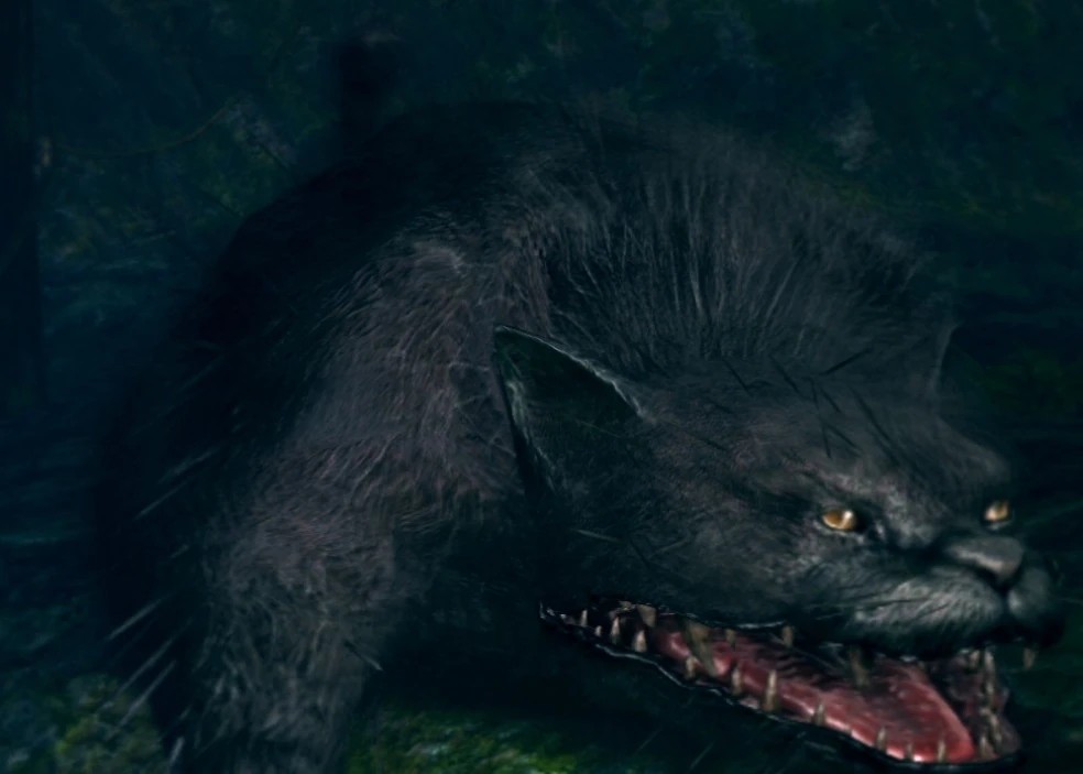 Черная кошка