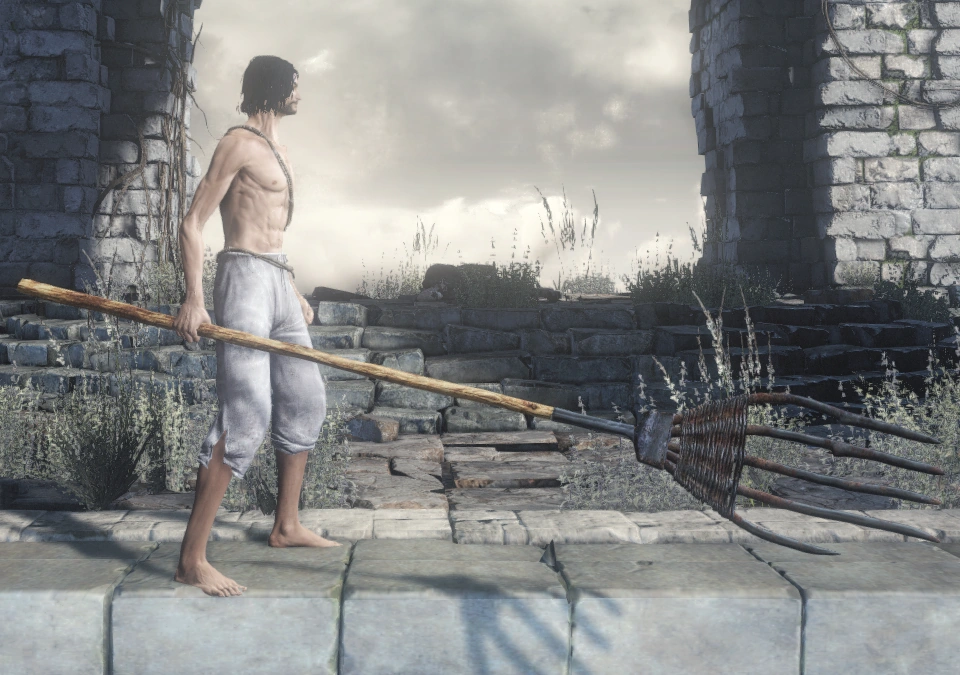 Четырехзубые вилы (Dark Souls III) (одноручный хват).png