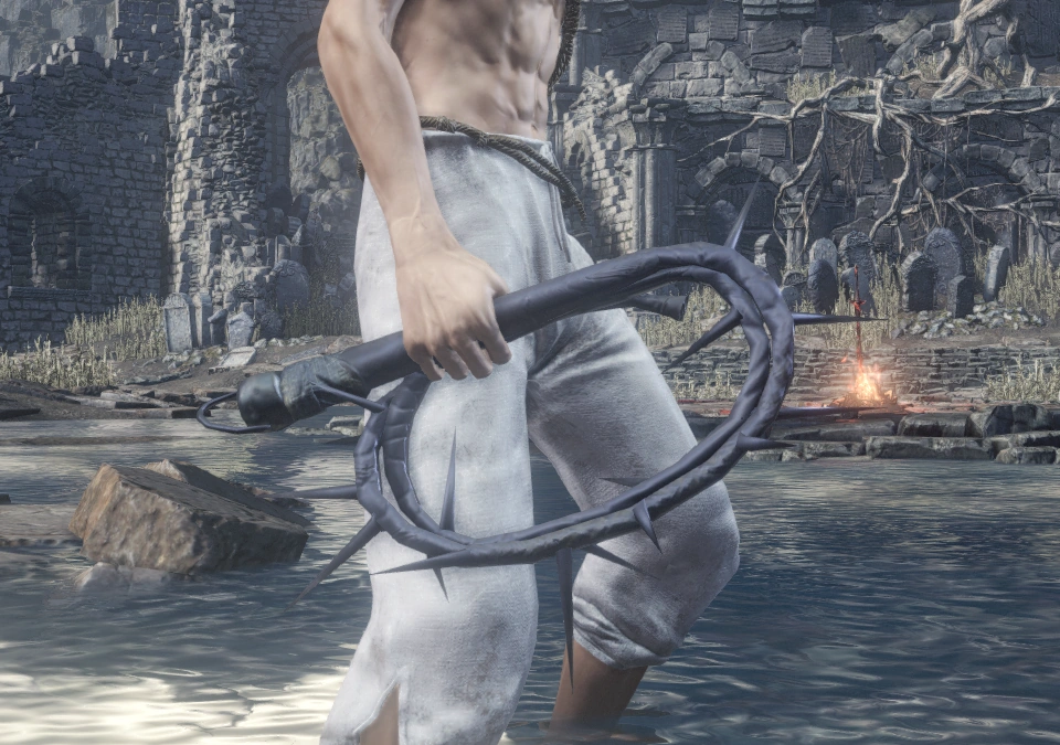 Шипастый_кнут_(Dark_Souls_III)_(одноручный_хват).png